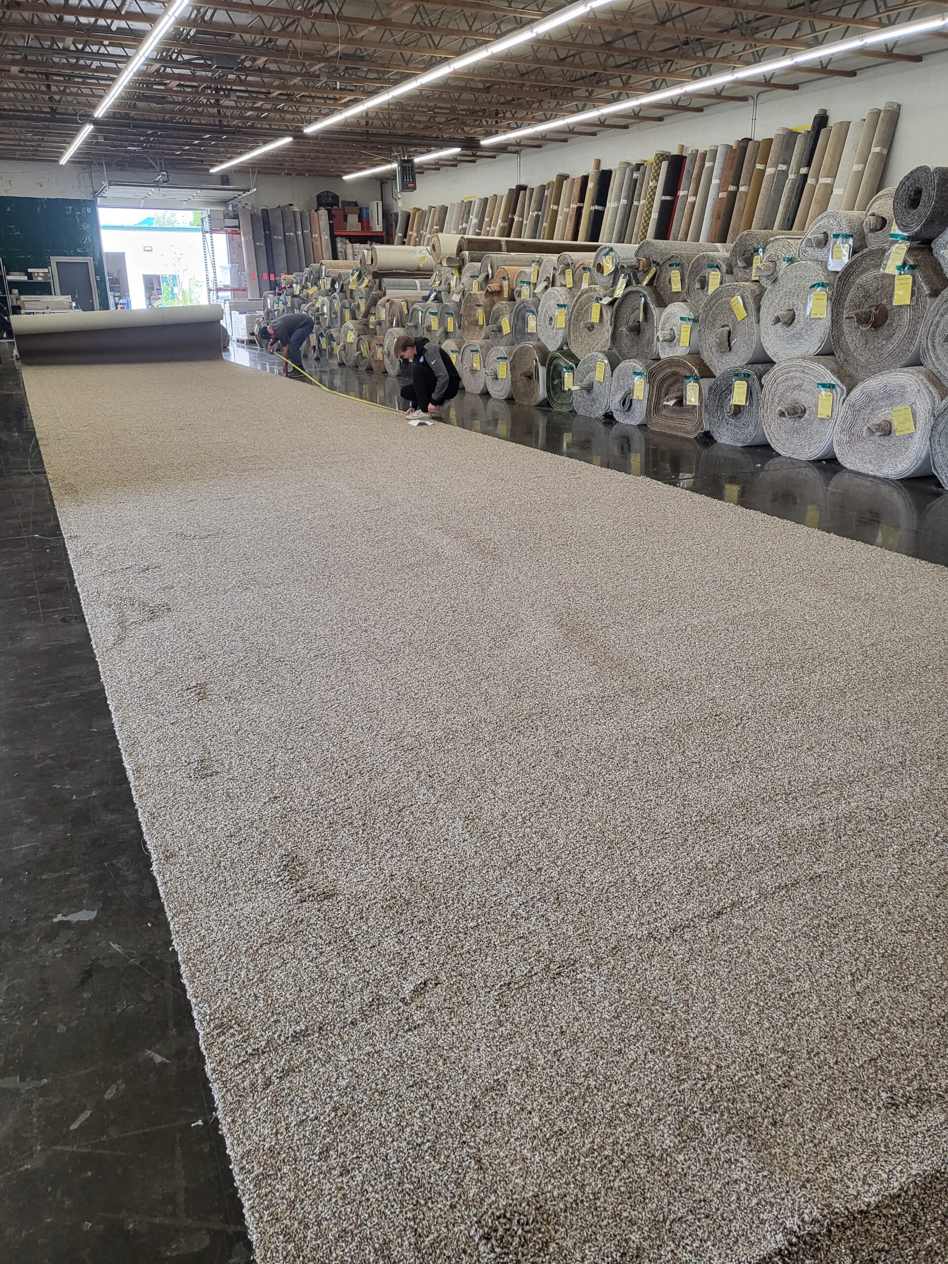 Dalton Carpet photo 10