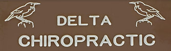 Delta Chiropractic Clinic photo