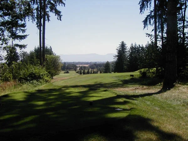 Diamond Woods Golf Course photo 11