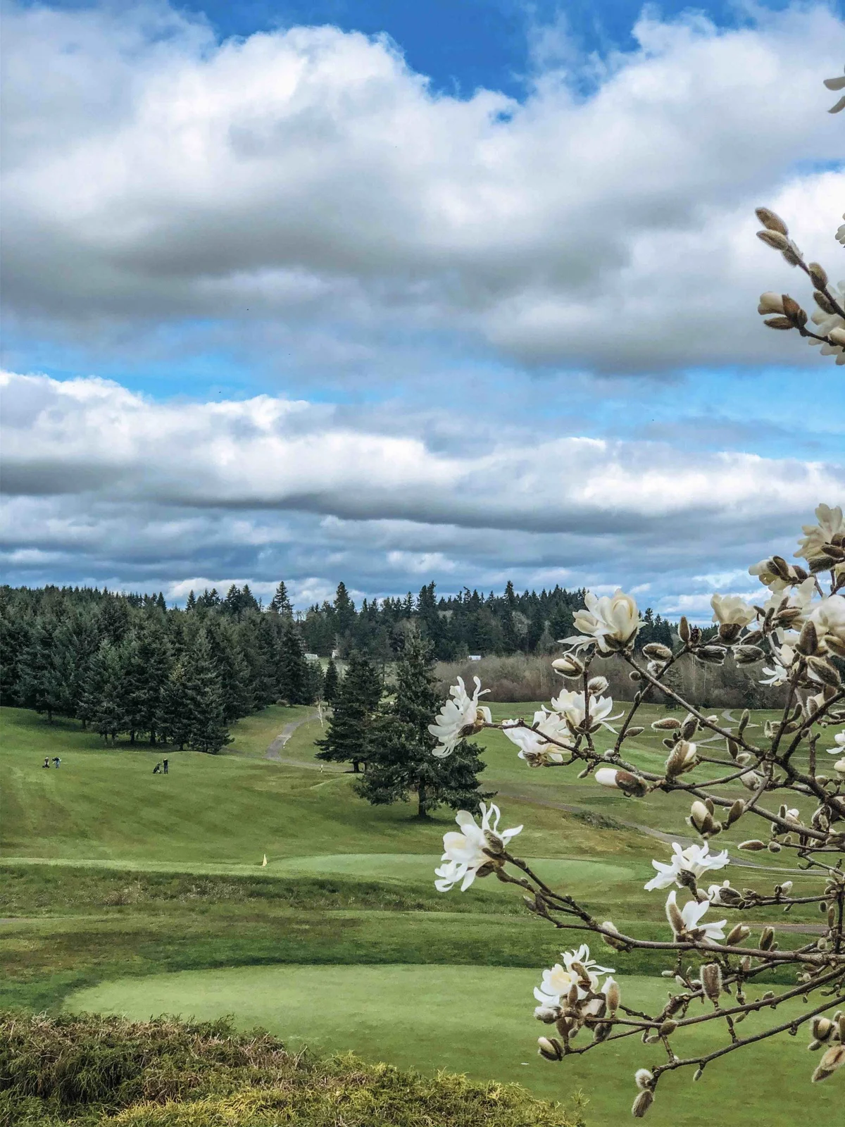 Diamond Woods Golf Course photo 4