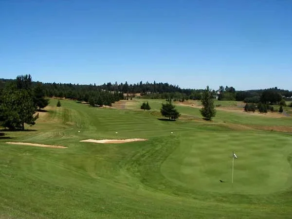 Diamond Woods Golf Course photo 8