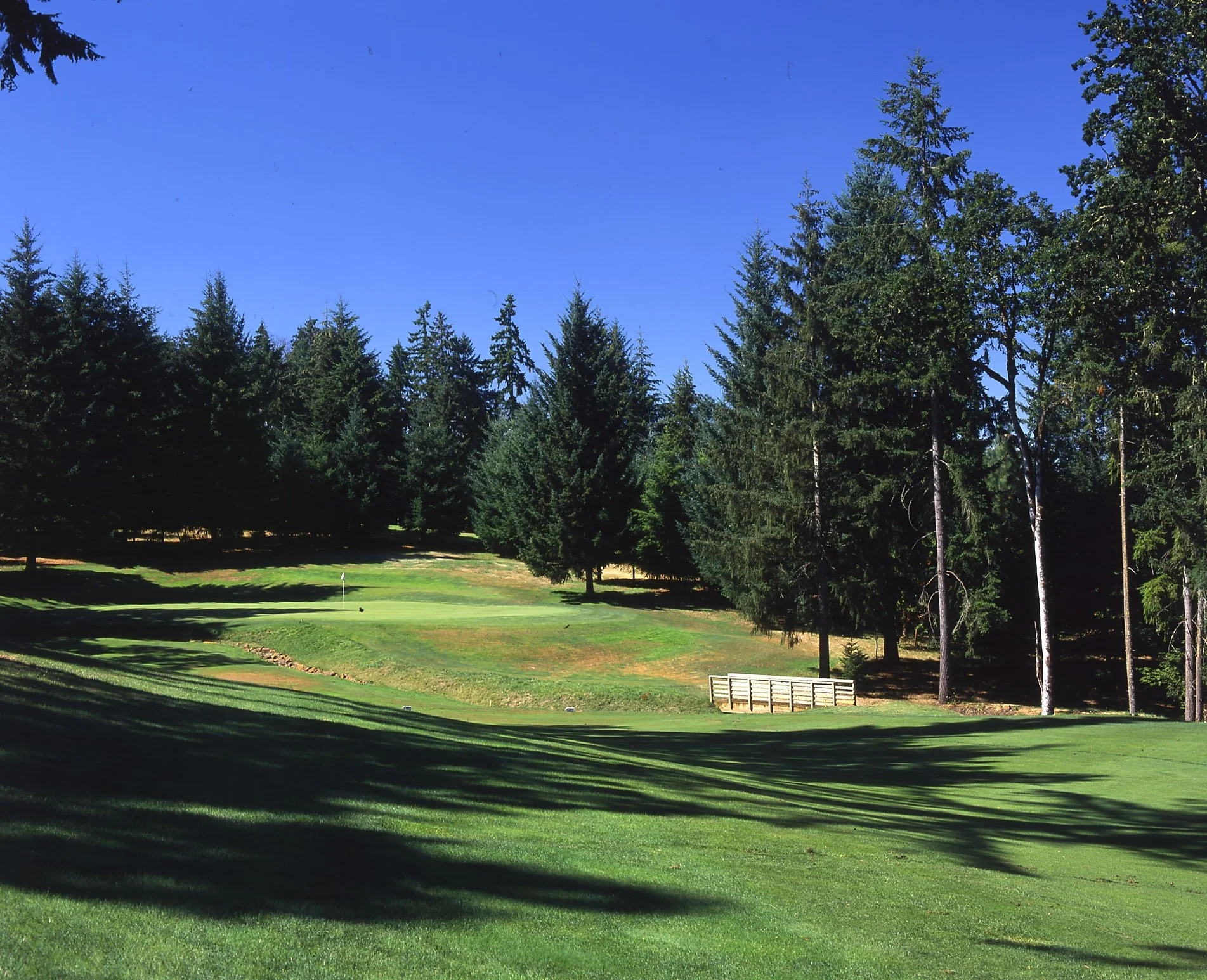 Diamond Woods Golf Course photo 9
