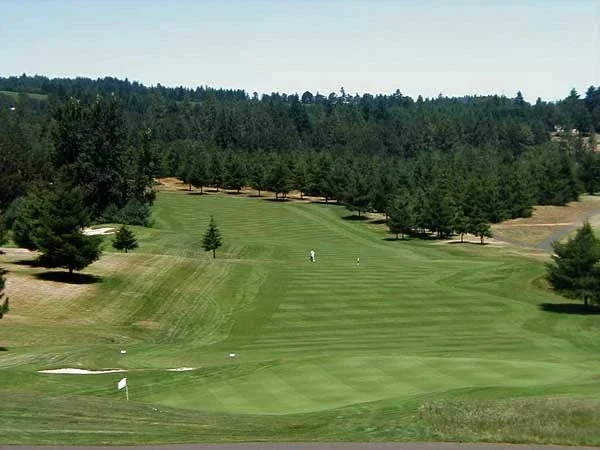Diamond Woods Golf Course photo 10