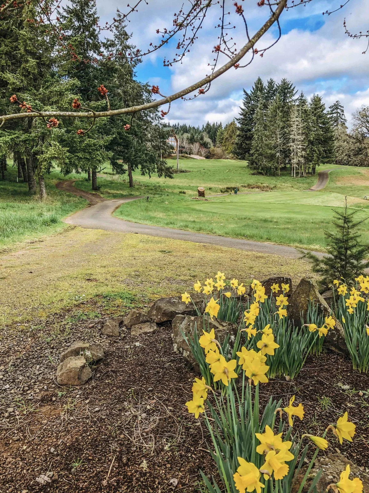 Diamond Woods Golf Course photo 5