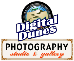Digital Dunes Photography photo