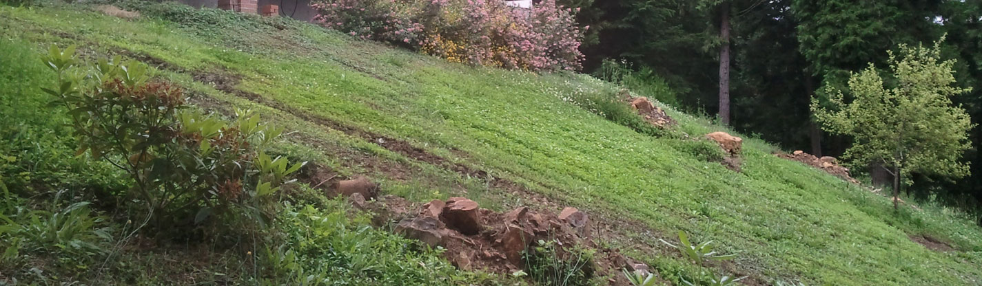 Dominion Landscape LLC photo 7
