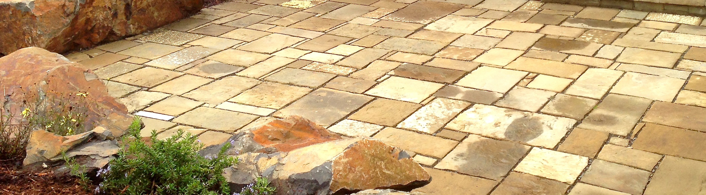 Dominion Landscape LLC photo 6