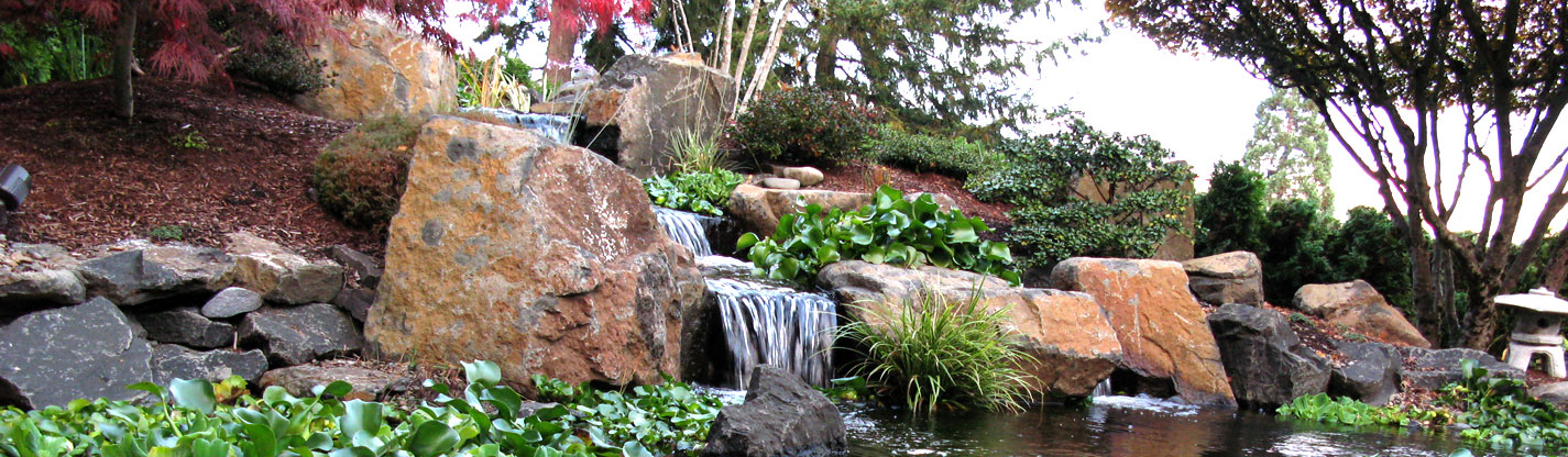 Dominion Landscape LLC photo 5