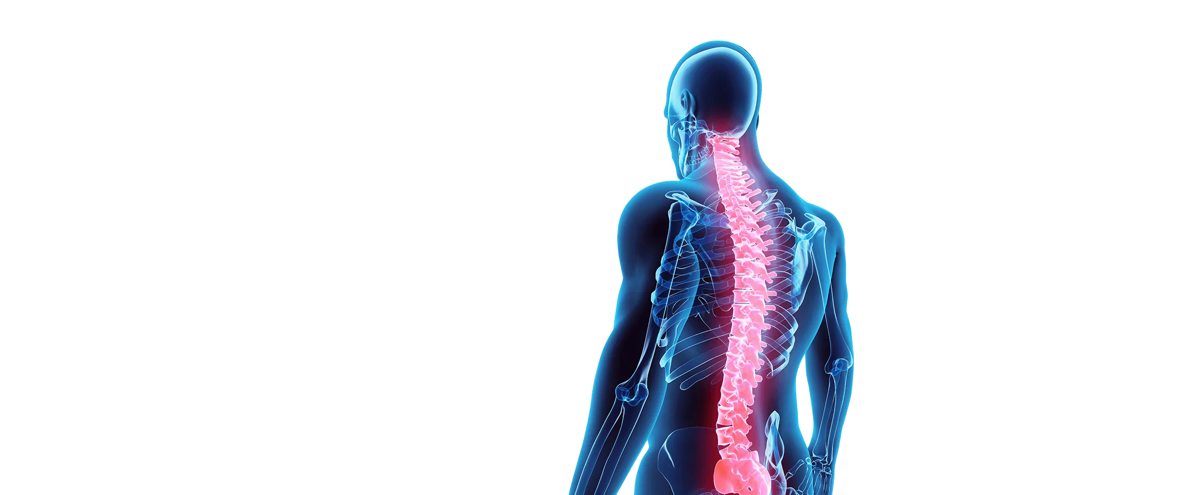 Dr. Hamed Madani D.C. P.C., Chiropractors Eugene photo 3