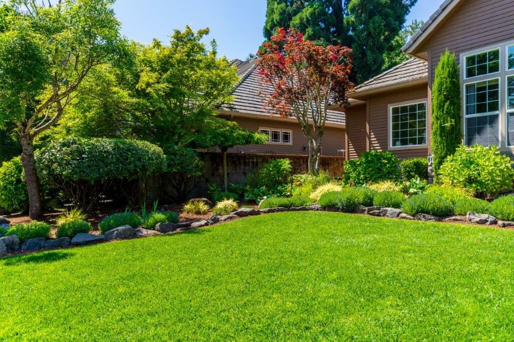 E & O Landscaping photo 12