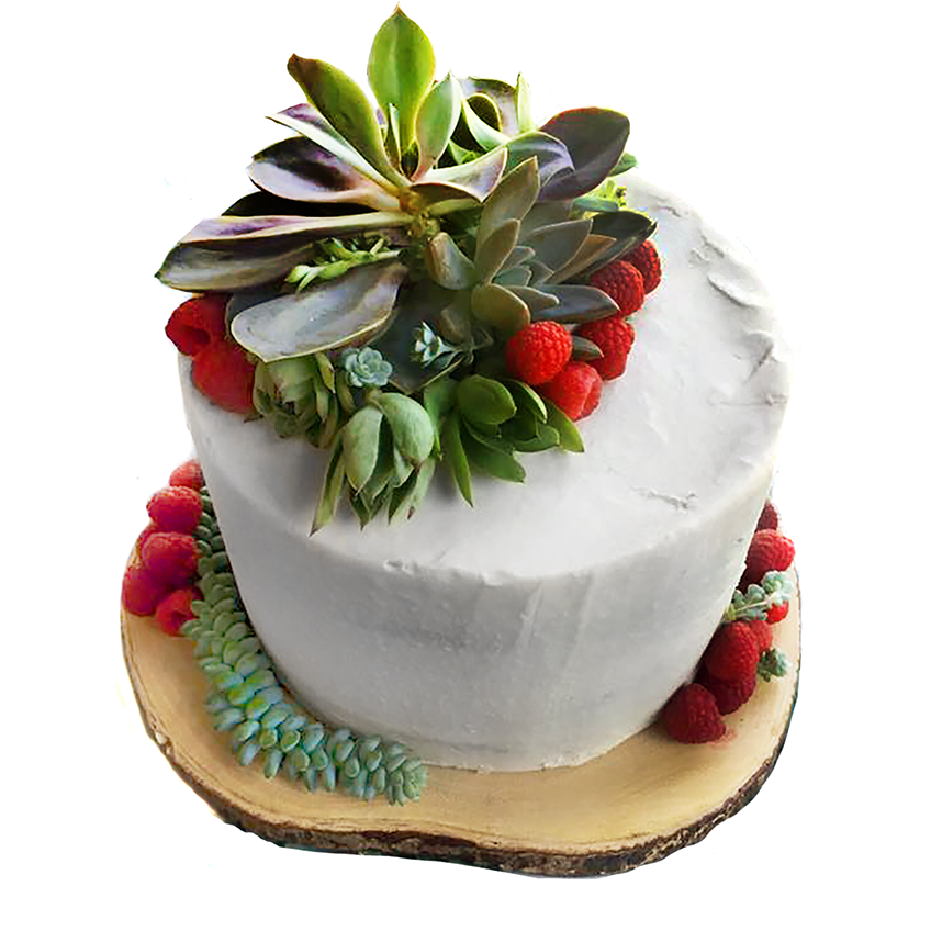 Elegant Elephant Baking Co. photo 12