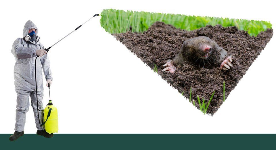 Emerald Pest Services LLC photo 2