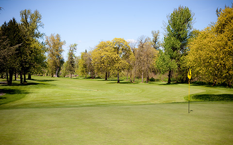 Emerald Valley Golf Club photo 4