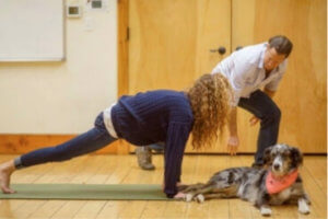 Essential Physical Therapy, Inc. Eugene Oregon photo 5