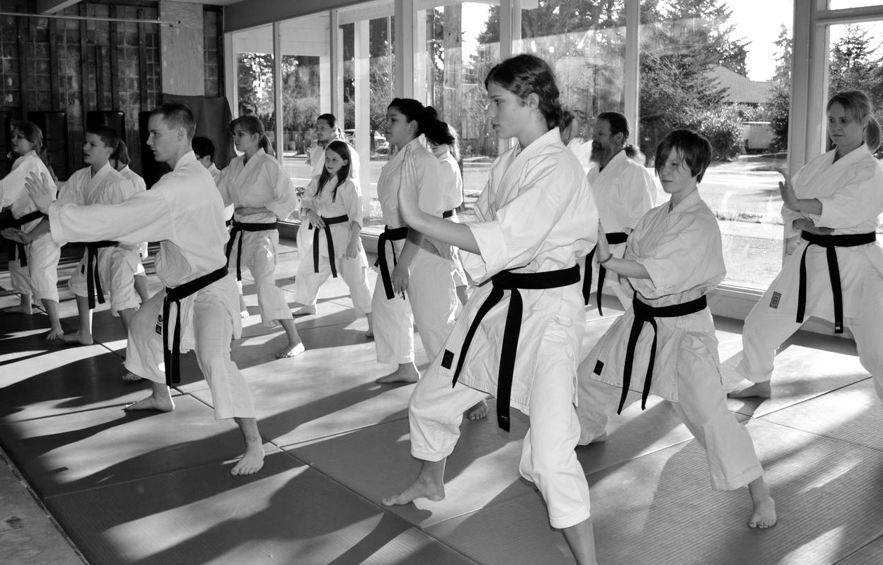 Family Karate Center photo 2