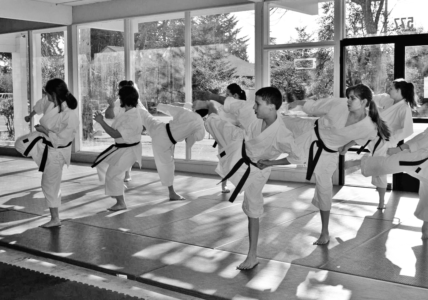 Family Karate Center photo 6