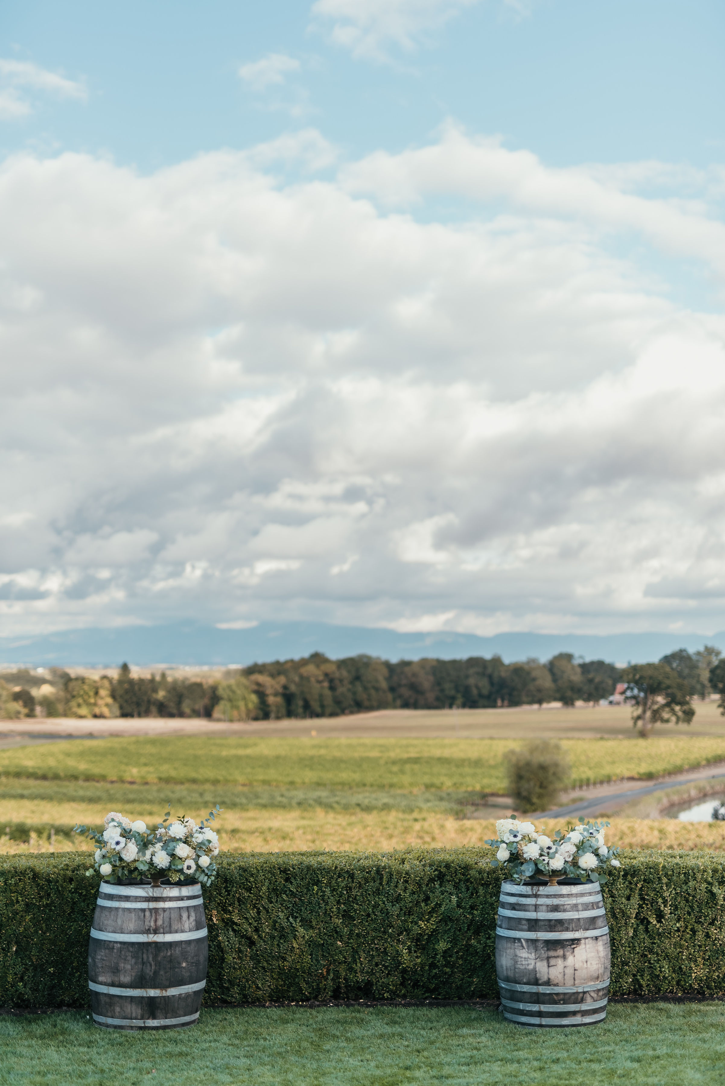 Five Fourteen Vineyards photo 8