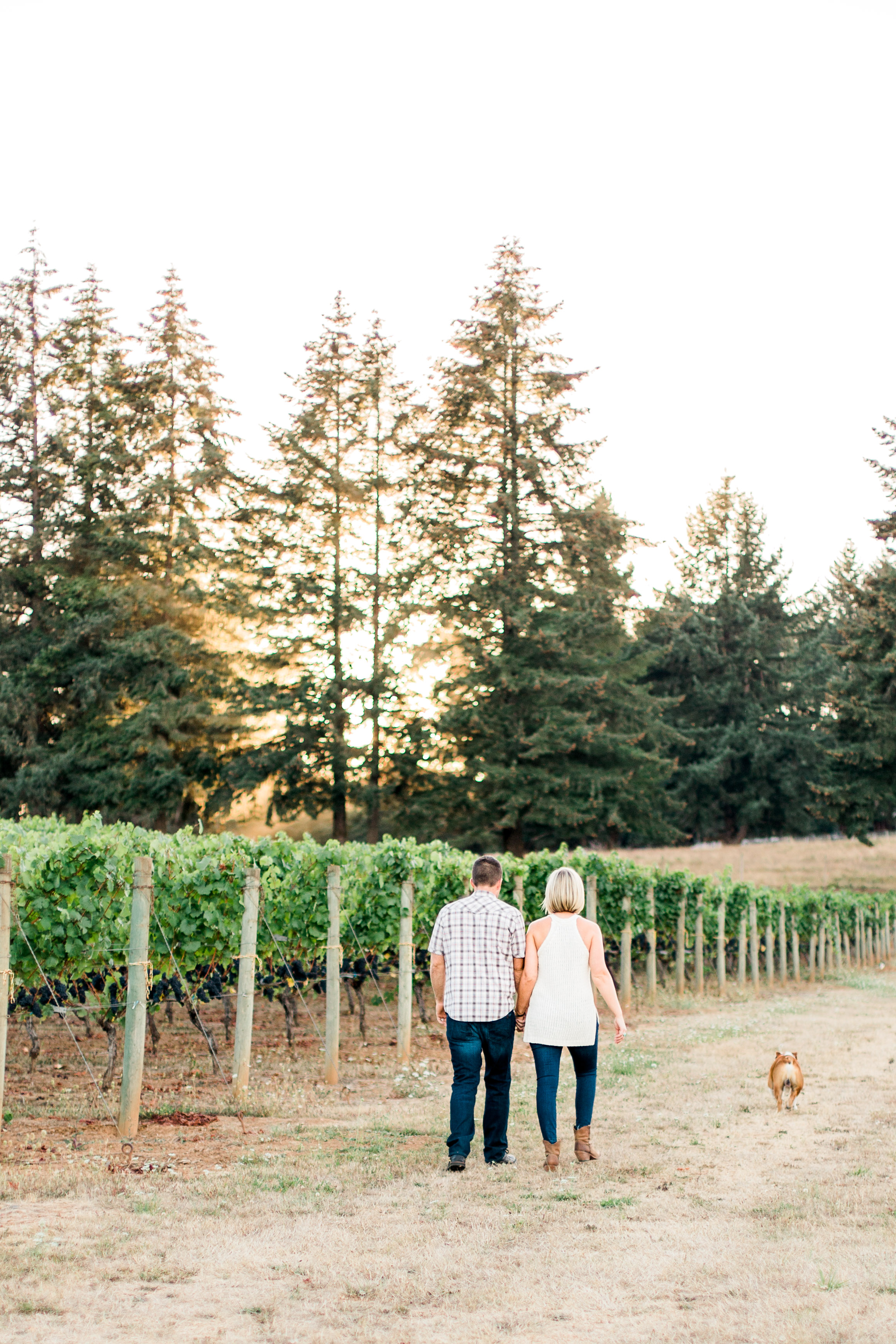 Five Fourteen Vineyards photo 9