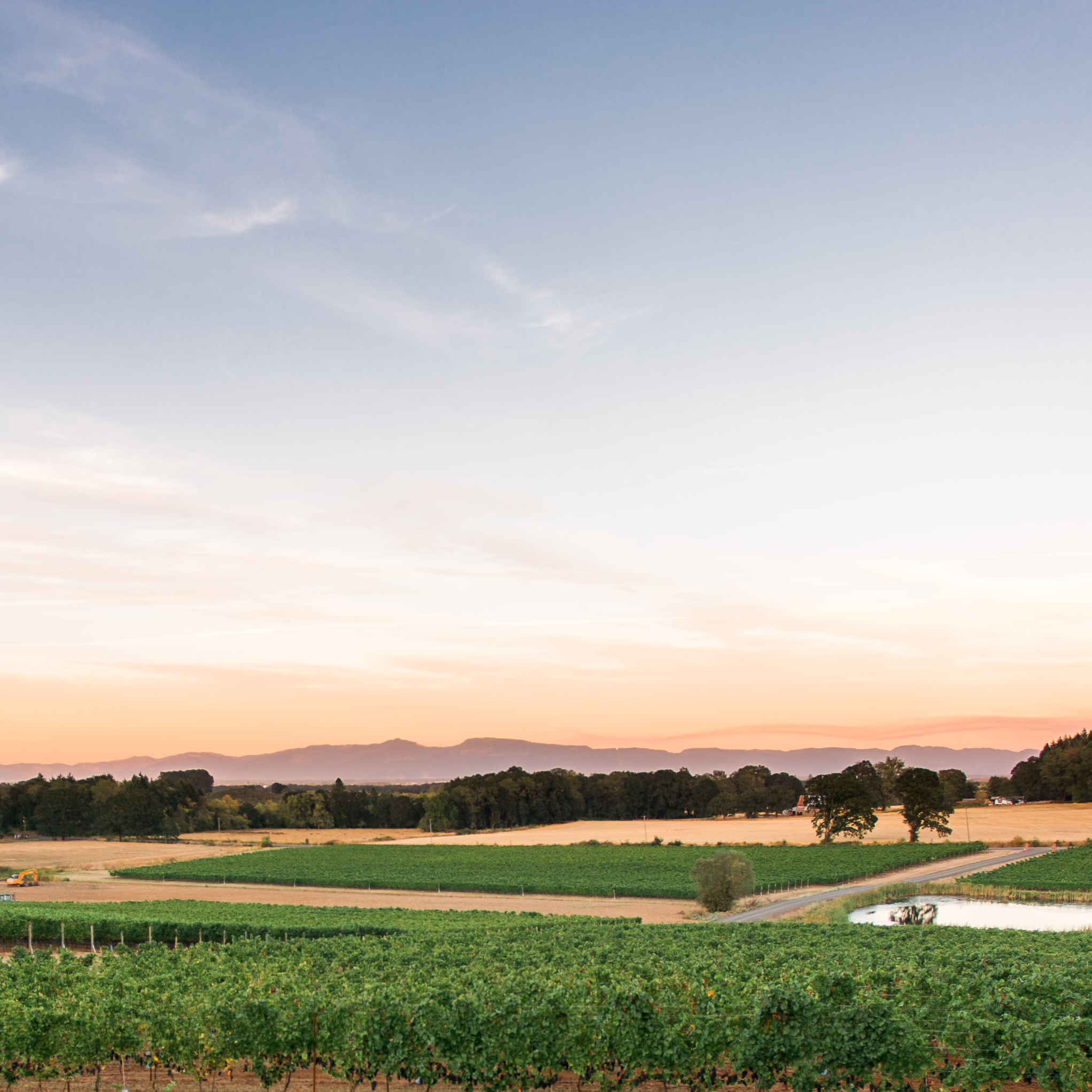 Five Fourteen Vineyards photo 3