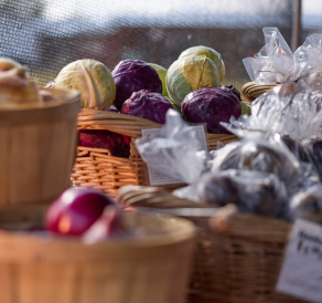 FOOD for Lane County photo 10