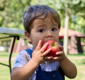 FOOD for Lane County photo 7