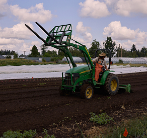FOOD for Lane County photo 9