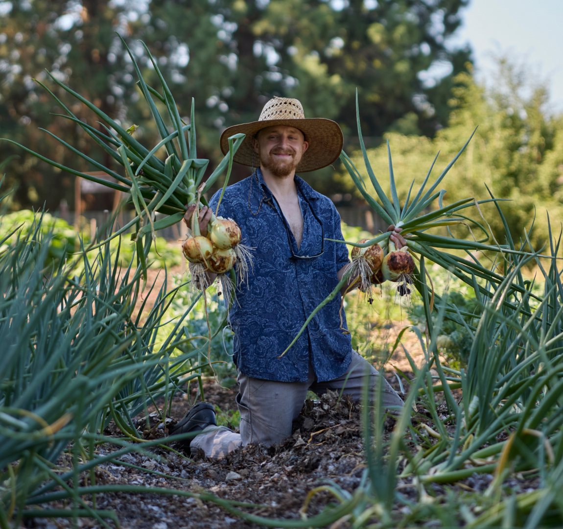 FOOD for Lane County photo 6