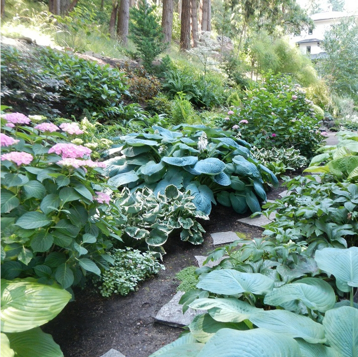 Glenn Landscape & Design photo 10