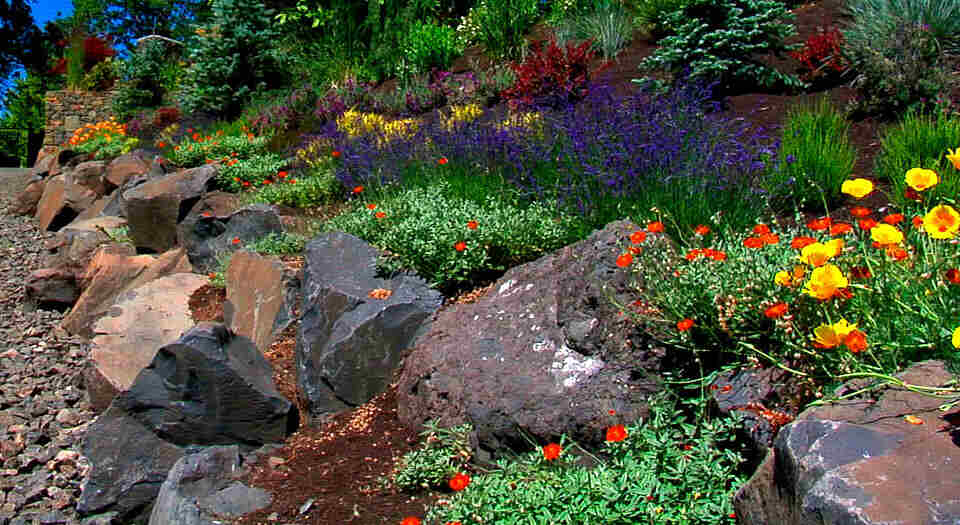Glenn Landscape & Design photo 8