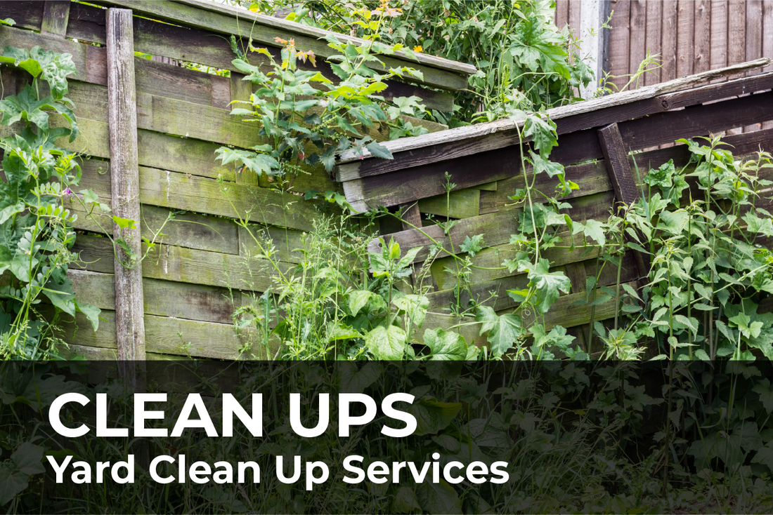 Graham Landscape Design & Maintenance photo 9