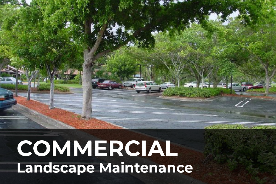Graham Landscape Design & Maintenance photo 3