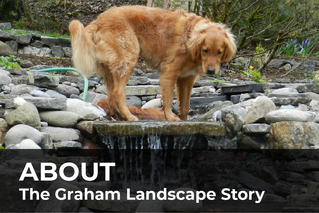 Graham Landscape Design & Maintenance photo 11