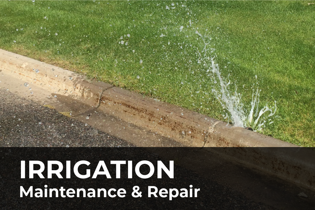Graham Landscape Design & Maintenance photo 6