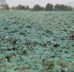 Grassroots Landscape Company photo 8