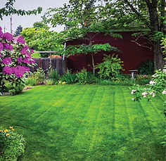 Grassroots Landscape Company photo 7