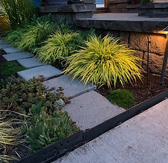 Grassroots Landscape Company photo 6