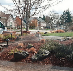 Grassroots Landscape Company photo 4