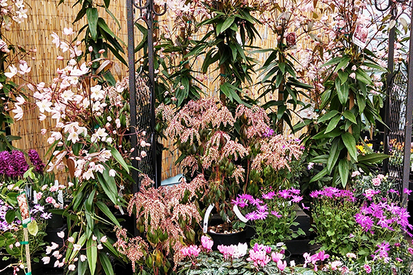 Gray’s Garden Centers photo 11