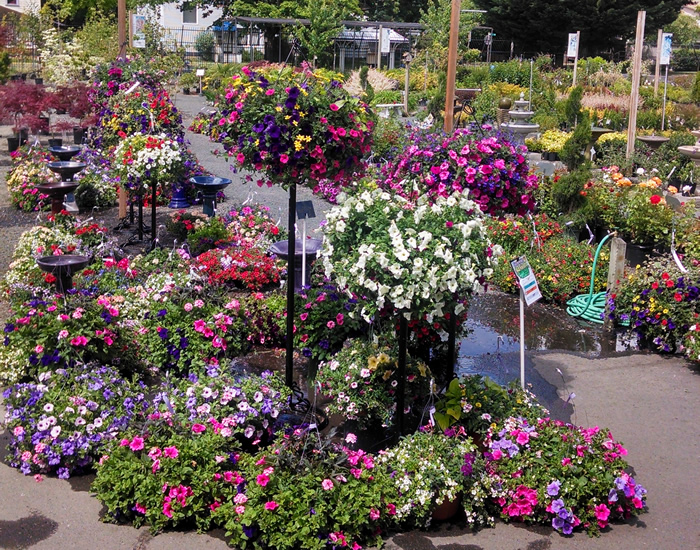 Gray’s Garden Centers photo 12