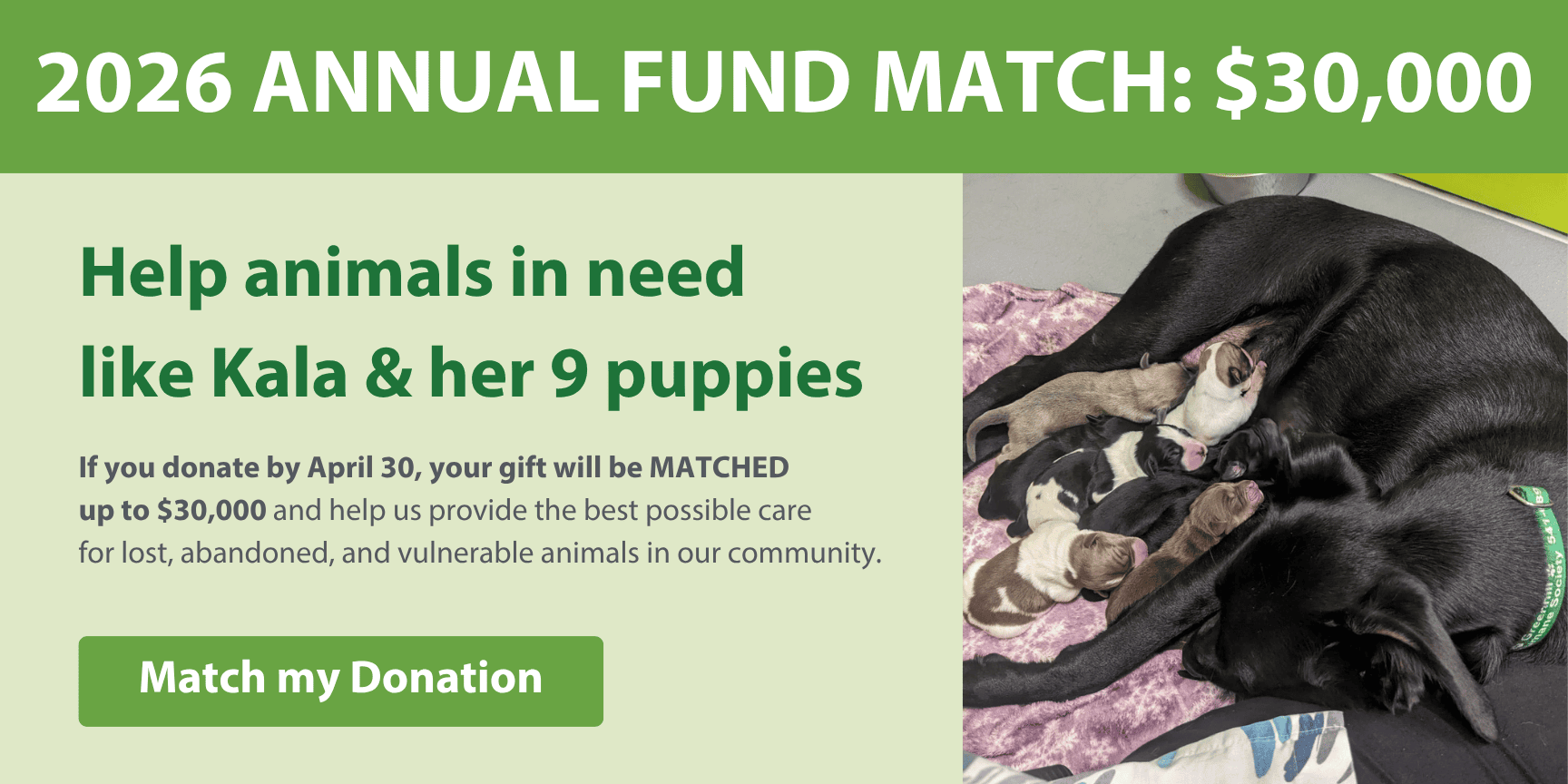 Greenhill Humane Society, SPCA photo 3