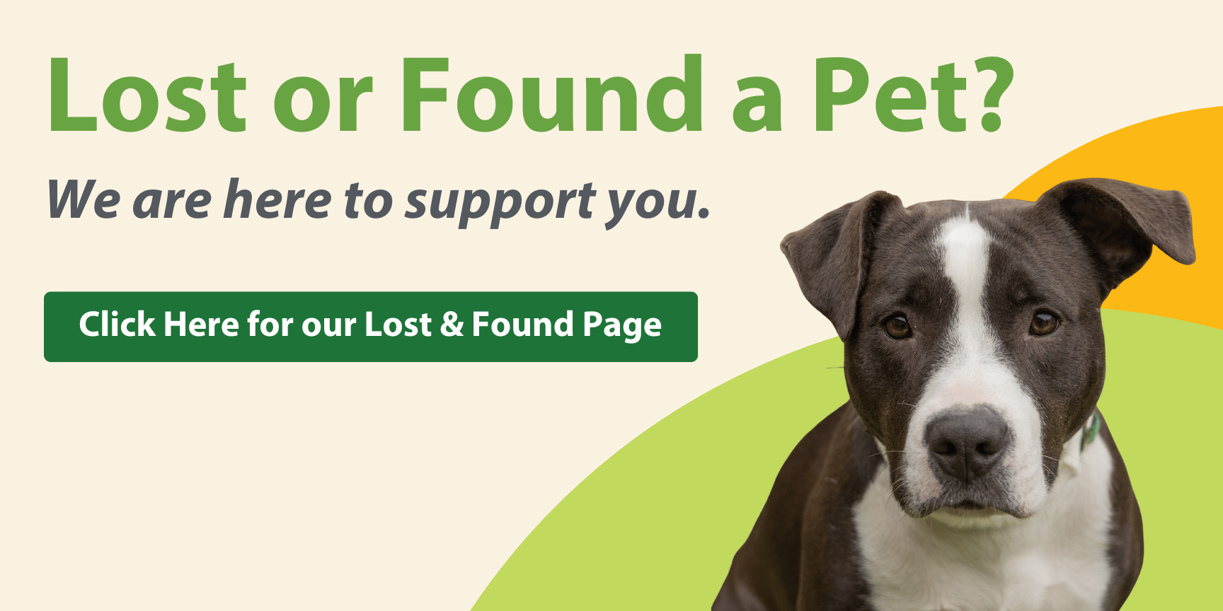 Greenhill Humane Society, SPCA photo 5