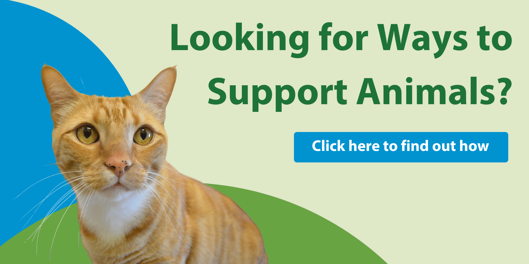 Greenhill Humane Society, SPCA photo 4
