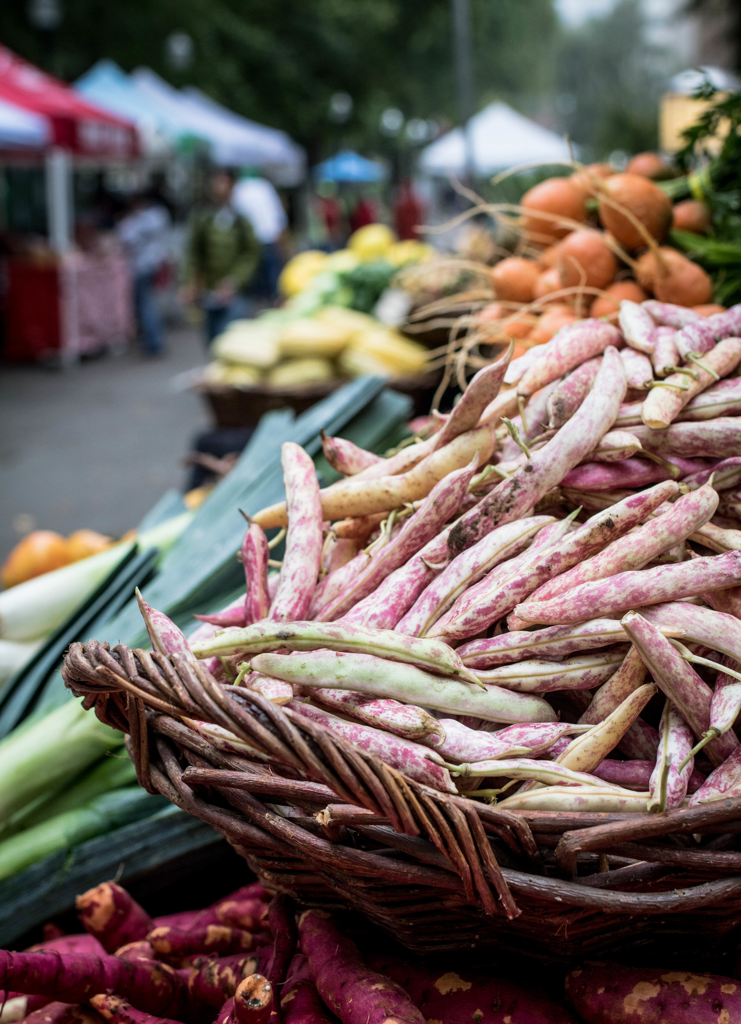 Groundwork Organics- Farm Stand photo 5