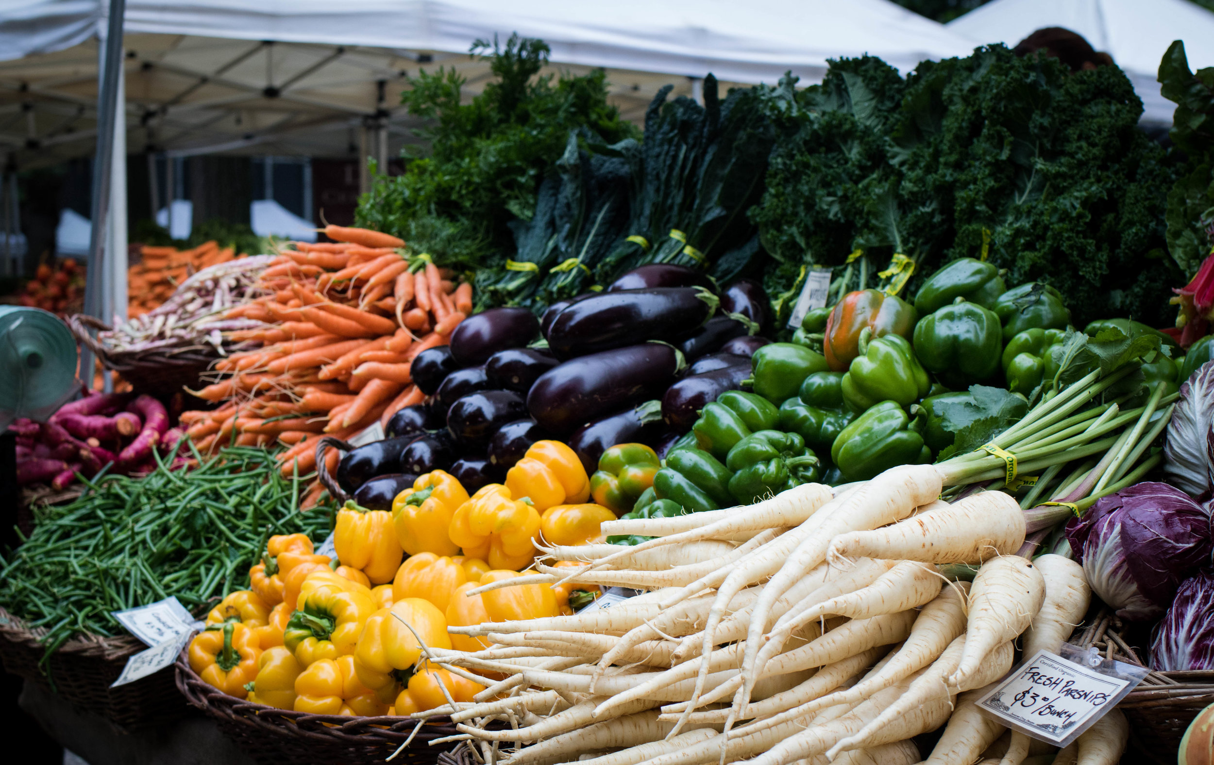 Groundwork Organics- Farm Stand photo 8