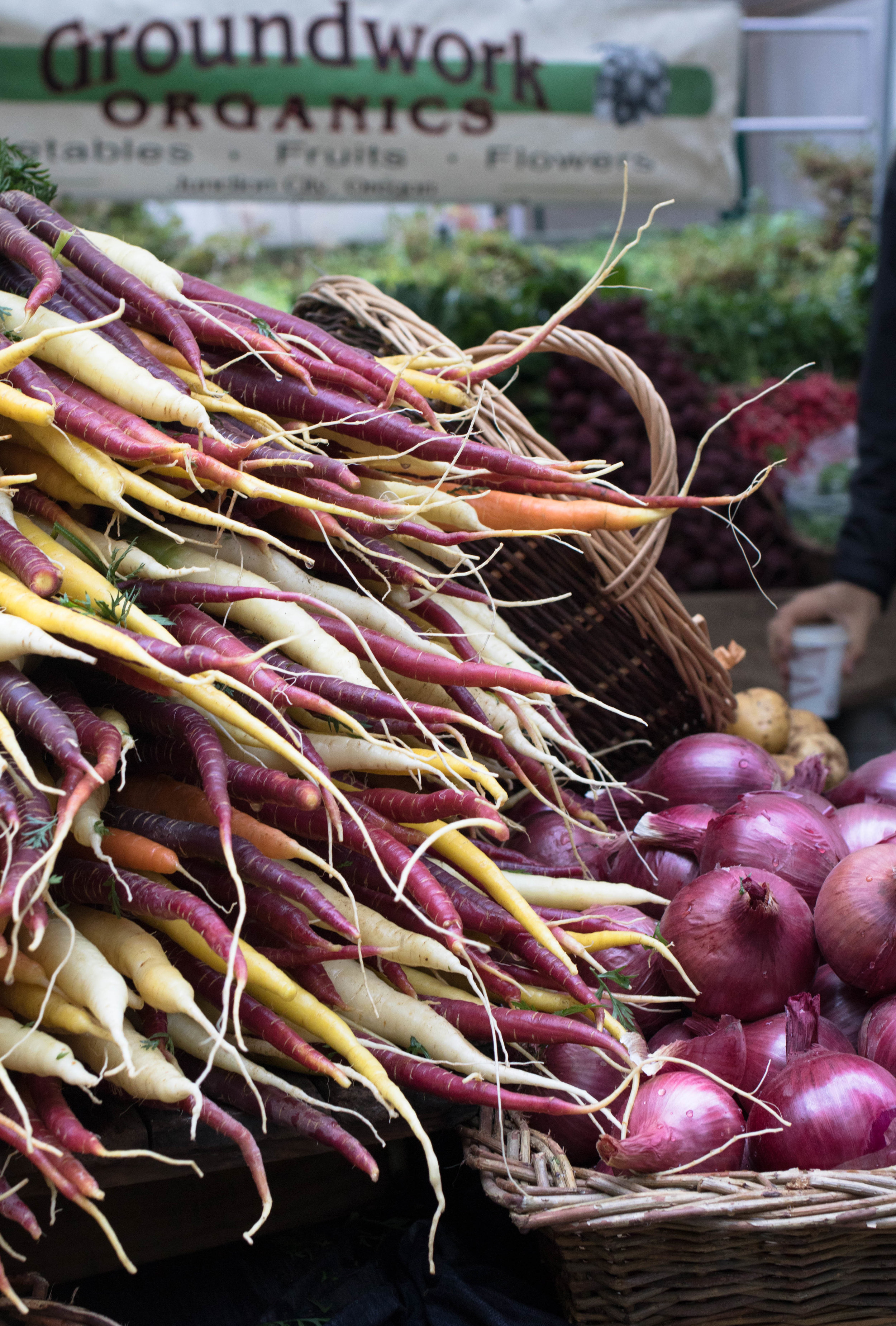 Groundwork Organics- Farm Stand photo 11