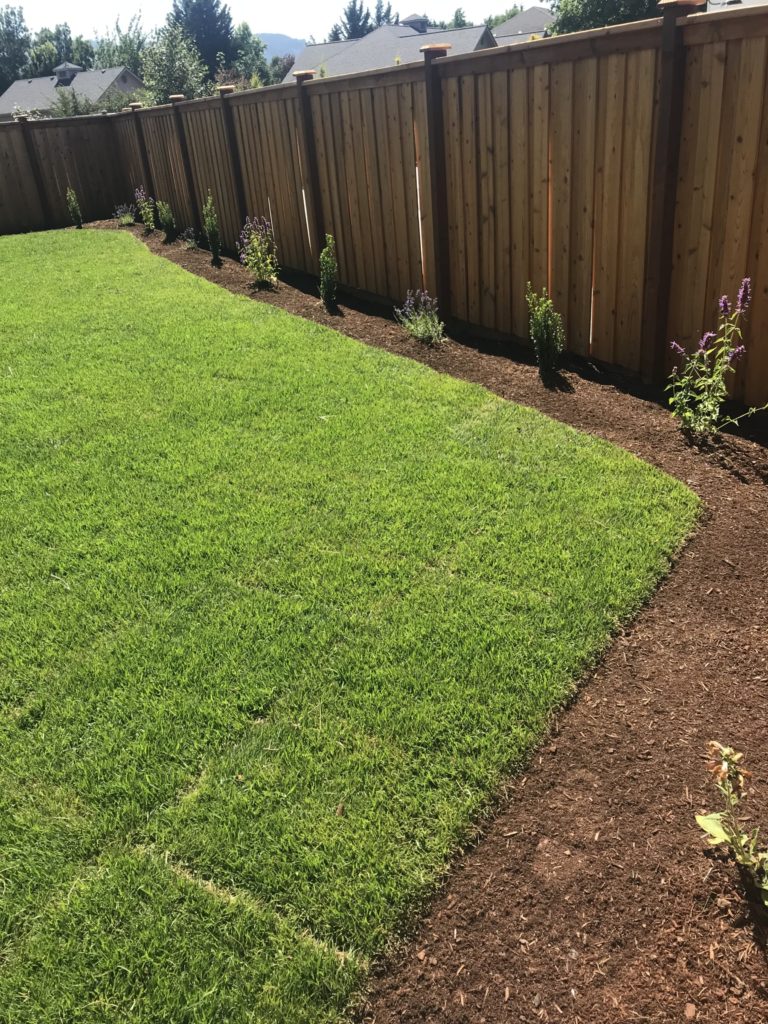 Gustav's Landscaping & Irrigation photo 5
