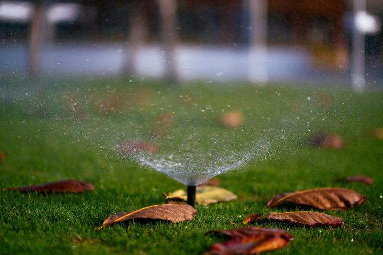 Gustav's Landscaping & Irrigation photo 8