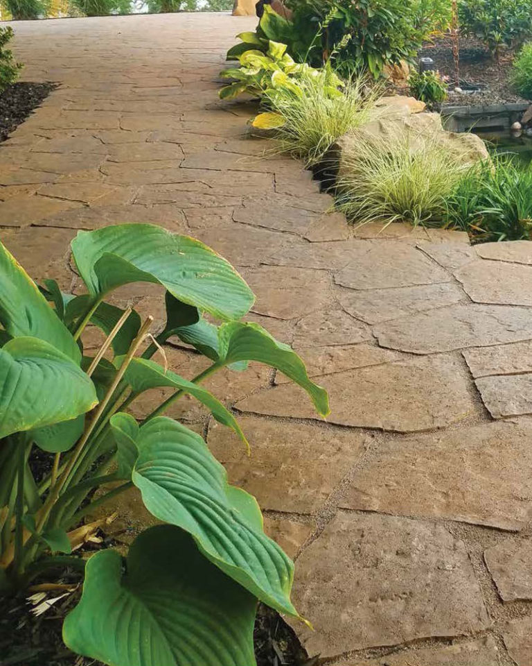 Gustav's Landscaping & Irrigation photo 7