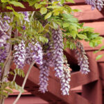 Gustav's Landscaping & Irrigation photo 11