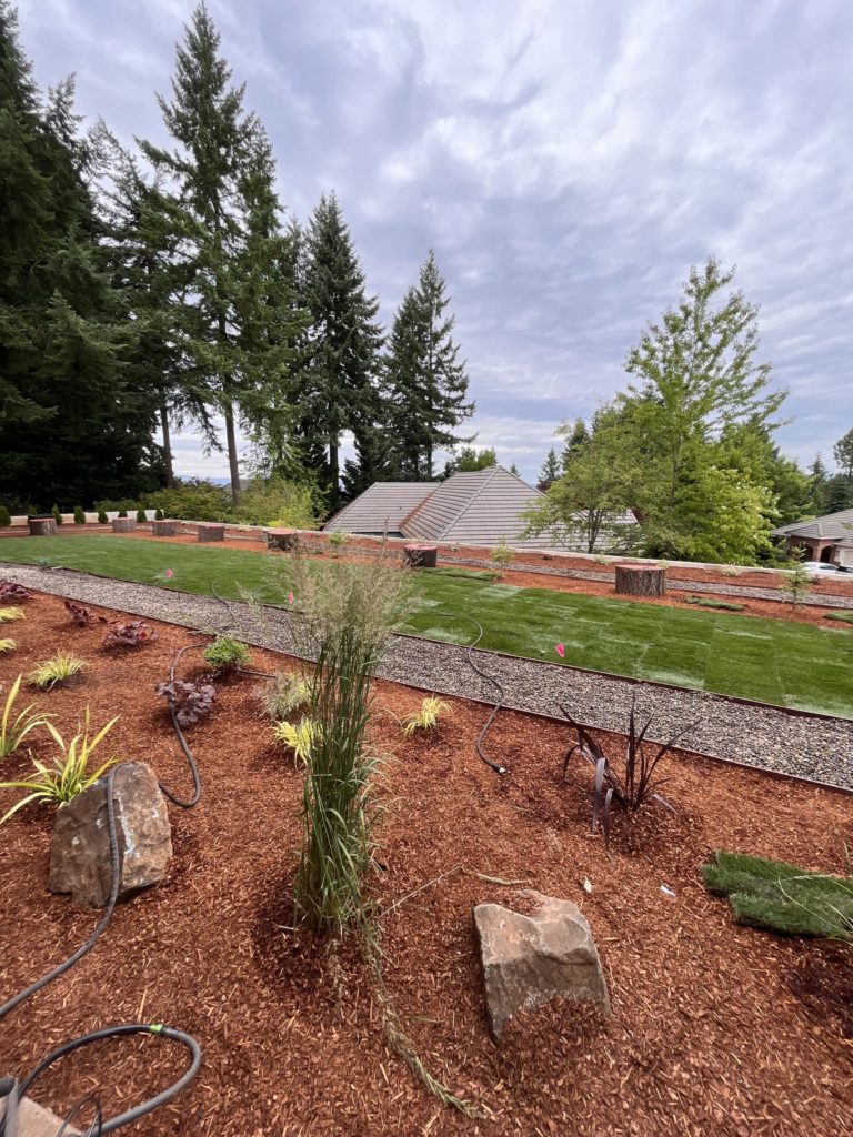 Gustav's Landscaping & Irrigation photo 4